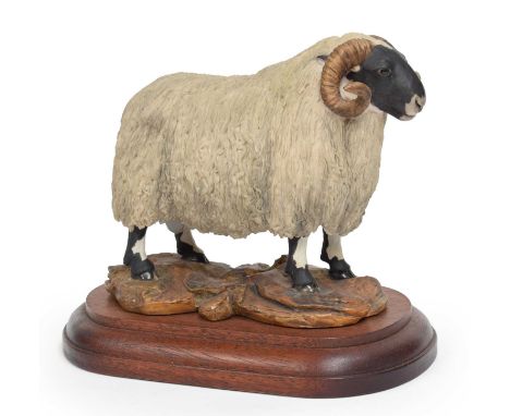 Border Fine Arts 'Blackfaced Tup' (Style One), model No. L15 by Mairi Laing Hunt, limited edition 69/750, on wood base, with 