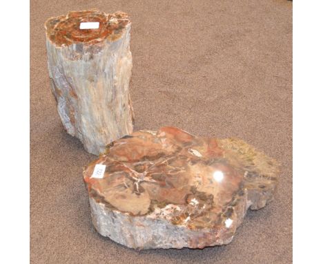 A Section of Petrified Tree Trunk, 40cm by 30cm; and A Stump Shaped Section of Petrified Tree Trunk, 30cm by 18cm