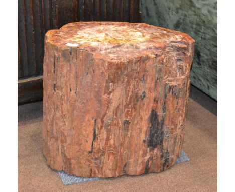 A Large Section of Petrified Tree Trunk, 45cm high