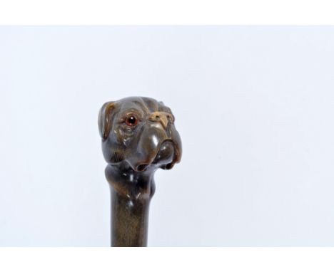 A horn walking stick circa 1900, with carved dog's head handle