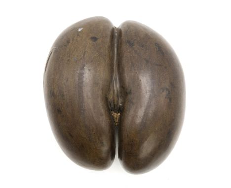 A COCO DE MER NUT (LODOICEA) Measuring approx. 30cm wide x 25cm wide Condition Report:There is a significant split to one sid