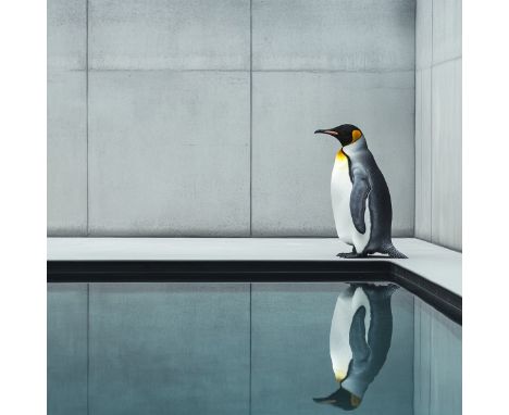 Eva SANTER (Né en 1982)Echoes in water ,2024.Sérigraphie couleur sur papier d’Art 300mg.Signée et numérotée par l’artiste.Edi