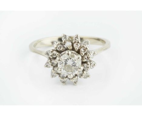 A diamond cluster ring, the principal round brilliant-cut diamond claw set above a double row border of smaller single-cut di