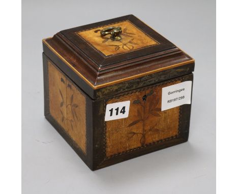 A George III mahogany, satinwood and marquetry square tea caddy, the interior with a covered section, inlaid with plants surr