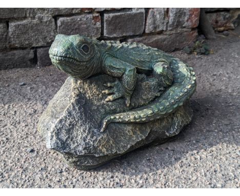 A composition model of an Iguana on a rock Location: G 