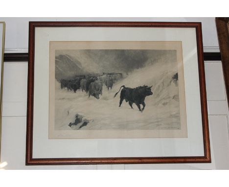 After J MacWhirter, Scottish 19th century, a herd of highland cattle in snow, monochrome print published by Robert Dunthorne,