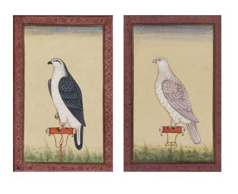 A PAIR OF INDIAN MINIATURE PAINTINGS OF FALCONSIndia, Provincial Mughal, 19th century. Watercolors and gilt on paper, matted 