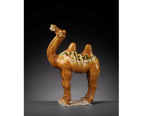 A SANCAI-GLAZED POTTERY FIGURE OF A BACTRIAN CAMEL, TANG DYNASTYChina, 618-907. Standing foursquare on a mostly unglazed squa