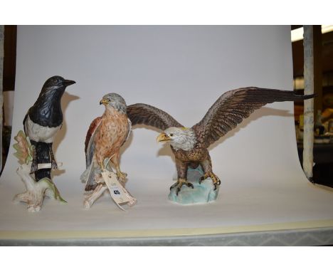 Three large ware bird ornaments by Goebel, comprising: a white-headed eagle with outstretched wings; a falcon; and a magpie.