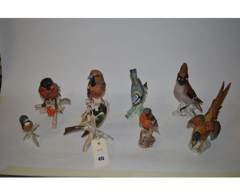A collection of mainly Goebel ware garden birds. (8)