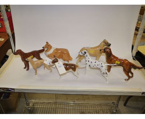 Six Beswick models of dogs, including: Champion 'Romany Rhinestone'; a Dalmation 'Arnoldene', Champion Ruler of Oubrough; a W