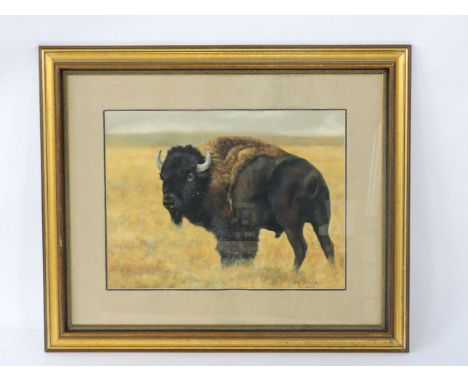 Kristi K Billmayer (Contemporary American School)A BISONSigned l.r., pastel on paper46 x 62cm