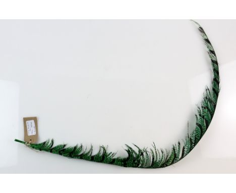 Harry Potter - Quill made for Rita Skeeter in the movie who was the journalist for the Daily Prophet..   