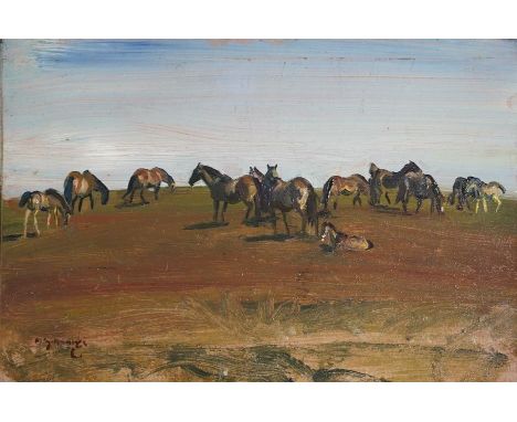 § § Sir Alfred James Munnings P.R.A., R.W.S. (British, 1878-1959) Exmoor Ponies, Study no.17oil on wooden panelsigned17.8 x 2