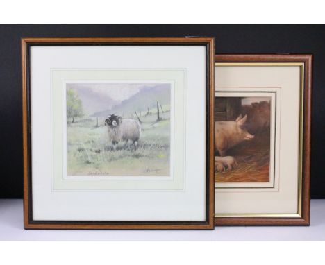 K W Radcliffe (20th century), study of a Swaledale ram, pastel together with a study of sow and sucklings, oil on board (2) 