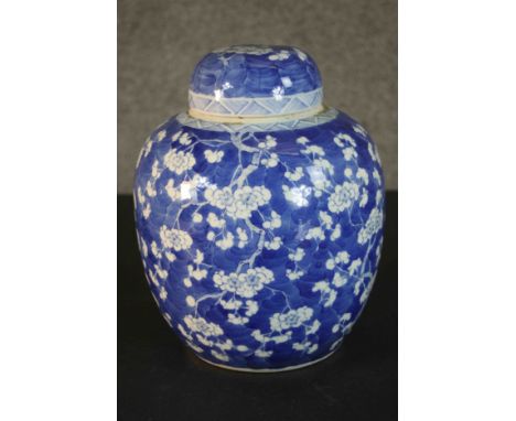 A large 19th century Chinese blue and white lidded hand painted porcelain prunus blossom design ginger jar. Double circle mar