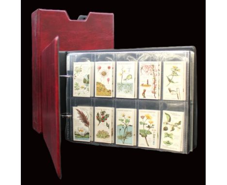  A collection of assorted cigarette cards to include; Player's, Struggle for Existence, 1923, 25; Will's, Garden Hints, 1938,