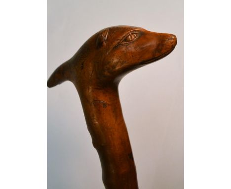 A 19th century fruitwood gentleman's novelty walking stick, the handle carved as the head of a dog, 90cm long