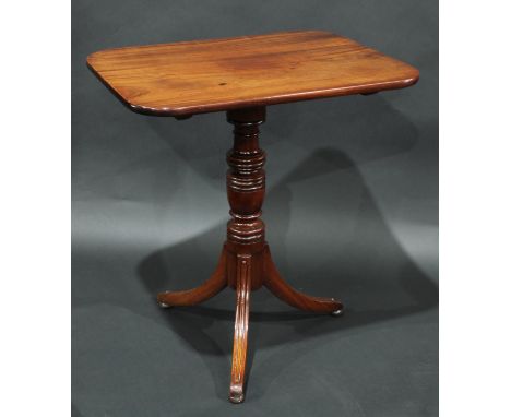 A Regency mahogany rounded rectangular tripod occasional table, turned pillar, moulded sabre legs, bun feet, 71cm high, 65.5c