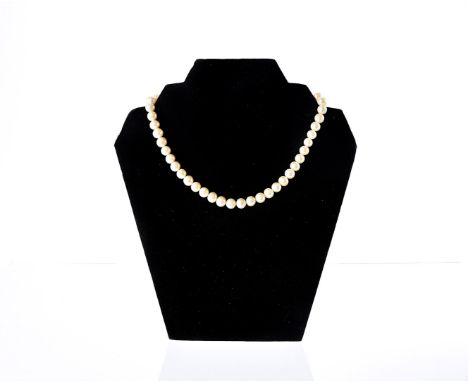 A modern pearl necklace, the pink tinged white uniform pearls united by a white metal clasp 