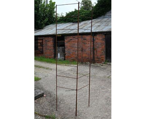 A pair of ladder garden frames, 235 cm high x 53 cm wide (2)