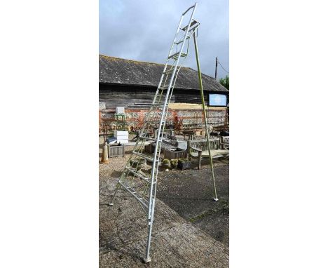 An aluminium folding orchard/fruit picking ladder, with telescopic height adjustable legs