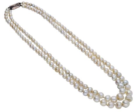A natural pearl necklace, the graduated pearls, measuring approximately 4.0 -  7.5mm, strung as a two row necklace to a plain