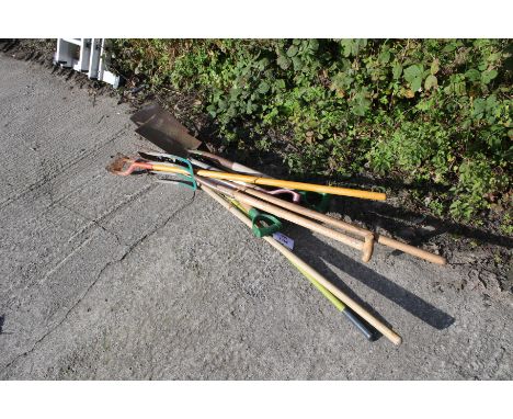 A mixed collection of garden tools. Including shovels, forks and a hoe etc.