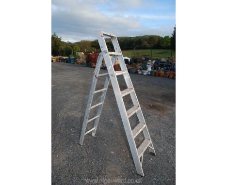 An aluminium metamorphic step ladder/ladder.