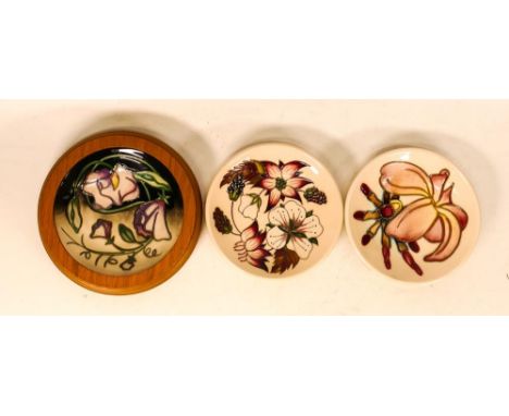 Moorcroft Items to include Bramble Revisited Coaster 780/4 12cm diameter Frangipani Plumeria Pin Dish 12cm diameter &amp;  Da