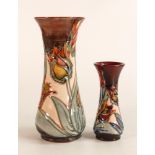 Moorcroft Red Tulips vase together with a matching smaller one. Height of tallest 20cm. Both boxed