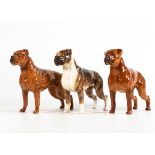 Beswick dogs Tan & Brindle Boxers "Blue Mountain Greta" 1202 (3)