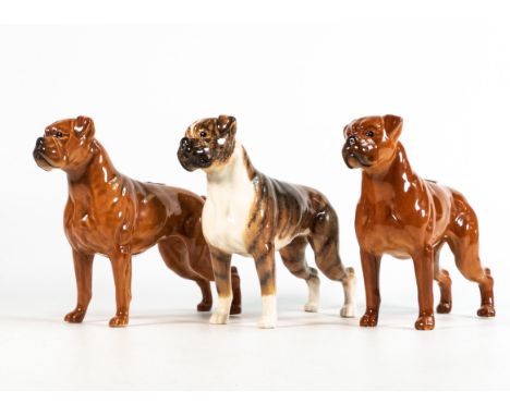 Beswick dogs Tan &amp; Brindle Boxers "Blue Mountain Greta" 1202 (3) 