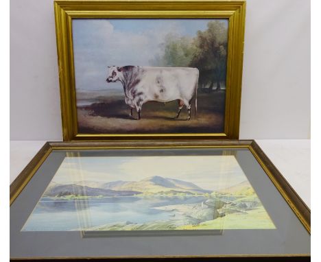 A Prize Grey Shorthorn Bull,  colour print after William Henry Davies 46cm x 62cm and 'Grasmere', colour print after William 