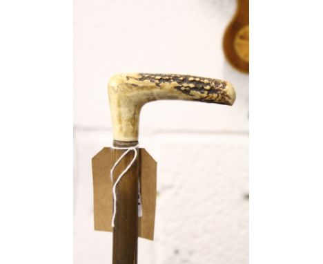 A rustic walking stick with antler handle.