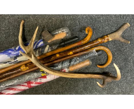 Walking sticks - a stag horn handled walking stick, others, ram's horn, etec; umbrellas, etc 