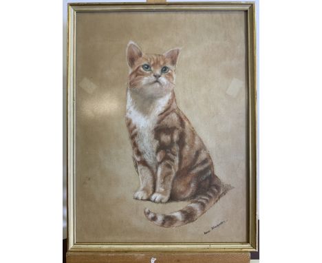  A pastel portrait of a ginger tom cat. Frobisher. W:33cm x H:42cm