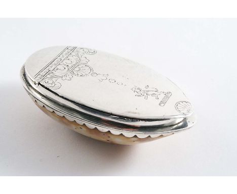 AN EARLY GEORGE II MOUNTED COWRIE SHELL SNUFF BOX with a lappet border, the cover engraved with shells, acanthus leaf & pelle