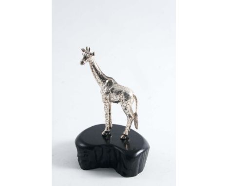 A CONTEMPORARY SOUTH AFRICAN MINIATURE SCULPTED FIGURE OF A GIRAFFE standing on an ebony base, by Patrick Mavros of Zimbabwe,