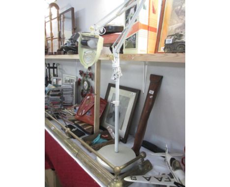A floor standing light magnifier