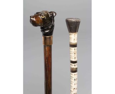 A VICTORIAN GENTLEMAN'S WALKING CANE, the horn handle carved as a dog's head with inset amber and black eyes, gold plated fer