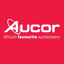 Auctioneer Logo