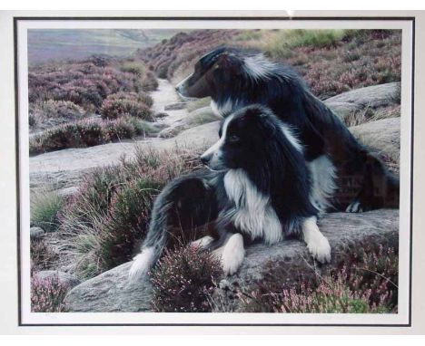Steven Townsend, Roy and Lilly, signed limited edition print, 457/675 with signed certificate  