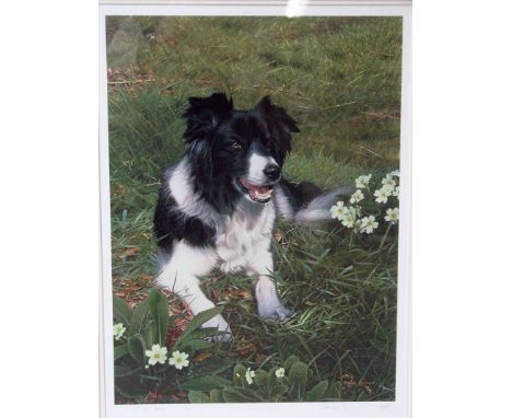 Steven Townsend, Isla, signed limited edition print, 16/675 with certificate, signed verso 