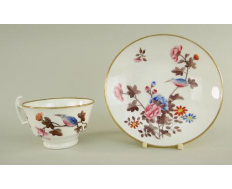 A SWANSEA CUP &amp; SAUCER the cup with curvaceous ogee handle, decorated in the Kingfisher pattern, printed in outline and p