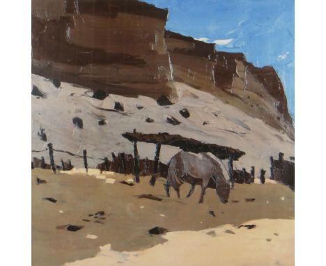 SIR KYFFIN WILLIAMS RA coloured limited edition (74/150) print - Patagonia horse, entitled 'Lle Cul', signed with initials, 4