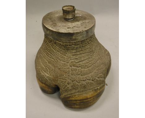 A Rhino foot in the form of a lamp base - taxidermy
