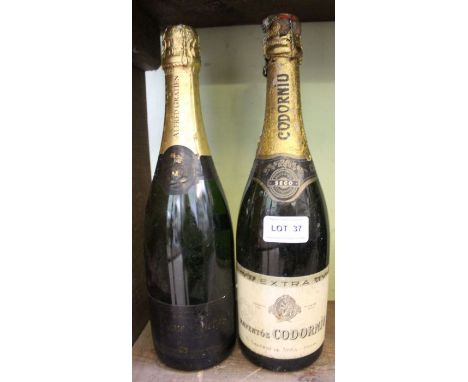 Two bottles of sparkling wine.