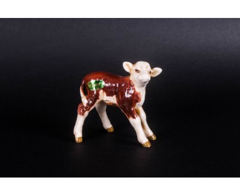 Beswick Animal Figure ' Hereford Calf ' Brown and White Gloss. Model Num.1406B. Designer A. Gredington. Issued 1956-1975. Hei