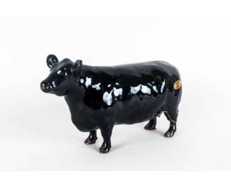 Beswick Animal Figure ' Aberdeen Angus Cow ' Black Gloss. Model Num.1563. Issued 1959-1989. Designer A. Gredington. Height 4.